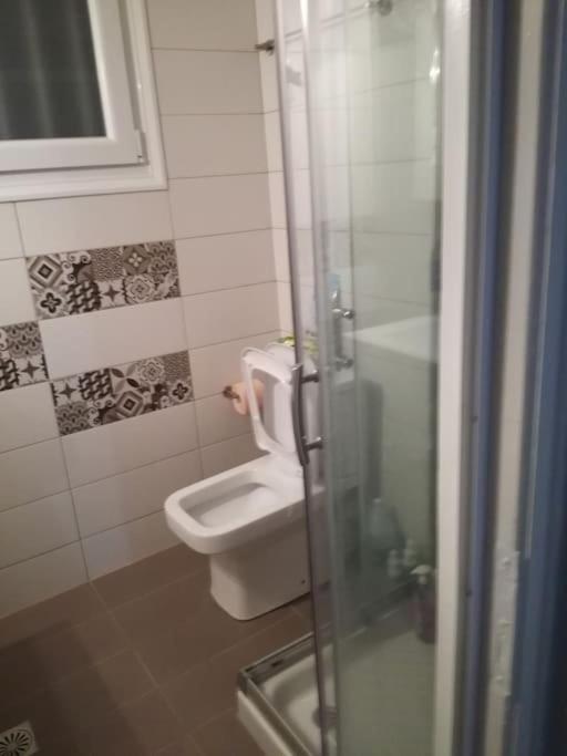 Οικία Με Αυλή Και Πάρκινγκ, Μέσα Στο Κάστρο Της Πόλης Villa Joánina Kültér fotó